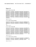 HUMAN MONOCLONAL ANTIBODIES TO CTLA-4 diagram and image