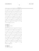 HUMAN MONOCLONAL ANTIBODIES TO CTLA-4 diagram and image