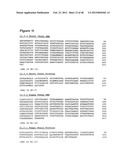 HUMAN MONOCLONAL ANTIBODIES TO CTLA-4 diagram and image