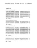 HUMAN MONOCLONAL ANTIBODIES TO CTLA-4 diagram and image