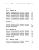 HUMAN MONOCLONAL ANTIBODIES TO CTLA-4 diagram and image