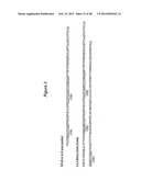 HUMAN MONOCLONAL ANTIBODIES TO CTLA-4 diagram and image