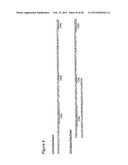 HUMAN MONOCLONAL ANTIBODIES TO CTLA-4 diagram and image