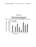 HUMAN MONOCLONAL ANTIBODIES TO CTLA-4 diagram and image