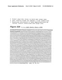 HUMAN MONOCLONAL ANTIBODIES TO CTLA-4 diagram and image