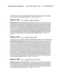 HUMAN MONOCLONAL ANTIBODIES TO CTLA-4 diagram and image