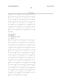 HUMAN MONOCLONAL ANTIBODIES TO CTLA-4 diagram and image