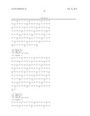 HUMAN MONOCLONAL ANTIBODIES TO CTLA-4 diagram and image