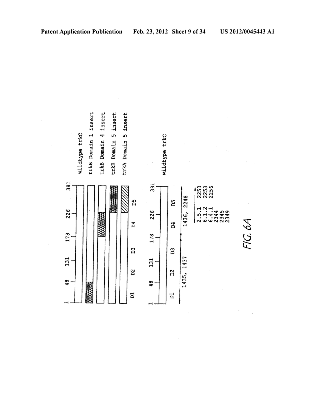 Agonist anti-trk-c monoclonal antibodies - diagram, schematic, and image 10