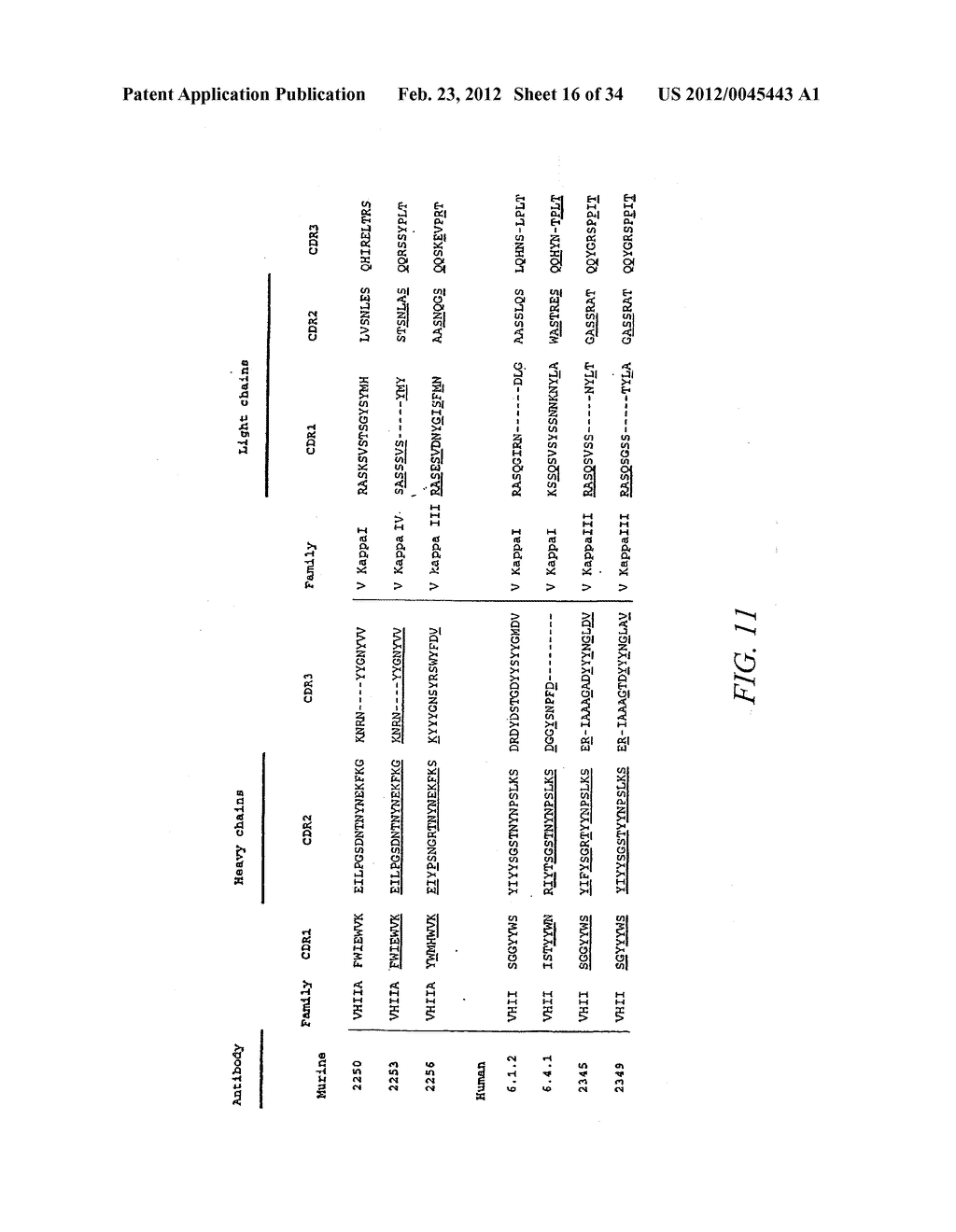 Agonist anti-trk-c monoclonal antibodies - diagram, schematic, and image 17