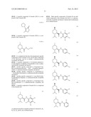 TRP-P8 ACTIVE COMPOUNDS AND THERAPEUTIC TREATMENT METHODS diagram and image