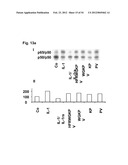 Inflammation Inhibiting Compounds diagram and image