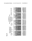 Inflammation Inhibiting Compounds diagram and image