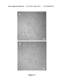 ENHANCING COAGULATION OR REDUCING FIBRINOLYSIS diagram and image