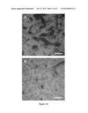 ENHANCING COAGULATION OR REDUCING FIBRINOLYSIS diagram and image