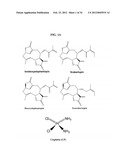 USE OF DEOXYELEPHANTOPIN (DET) AND ANALOGUES THEREOF FOR TREATMENT OF     MELANOMA diagram and image