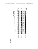 USE OF DEOXYELEPHANTOPIN (DET) AND ANALOGUES THEREOF FOR TREATMENT OF     MELANOMA diagram and image