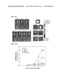 USE OF DEOXYELEPHANTOPIN (DET) AND ANALOGUES THEREOF FOR TREATMENT OF     MELANOMA diagram and image