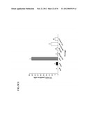 USE OF DEOXYELEPHANTOPIN (DET) AND ANALOGUES THEREOF FOR TREATMENT OF     MELANOMA diagram and image