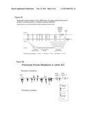 LMNA GENE AND ITS INVOLVEMENT IN HUTCHINSON-GILFORD PROGERIA SYNDROME     (HGPS) AND ARTERIOSCLEROSIS diagram and image