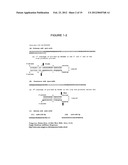 METHODS AND COMPOSITIONS TO DETECT AND DIFFERENTIATE SMALL RNAS IN RNA     MATURATION PATHWAY diagram and image