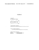 METHODS AND COMPOSITIONS TO DETECT AND DIFFERENTIATE SMALL RNAS IN RNA     MATURATION PATHWAY diagram and image