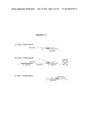 METHODS AND COMPOSITIONS TO DETECT AND DIFFERENTIATE SMALL RNAS IN RNA     MATURATION PATHWAY diagram and image