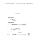 METHODS AND COMPOSITIONS TO DETECT AND DIFFERENTIATE SMALL RNAS IN RNA     MATURATION PATHWAY diagram and image