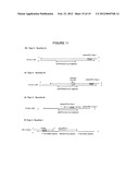 METHODS AND COMPOSITIONS TO DETECT AND DIFFERENTIATE SMALL RNAS IN RNA     MATURATION PATHWAY diagram and image