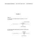 METHODS AND COMPOSITIONS TO DETECT AND DIFFERENTIATE SMALL RNAS IN RNA     MATURATION PATHWAY diagram and image