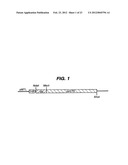 PREPARATION OF PROTECTIVE ANTIGEN diagram and image