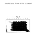 PREPARATION OF PROTECTIVE ANTIGEN diagram and image