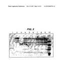 PREPARATION OF PROTECTIVE ANTIGEN diagram and image