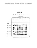 PREPARATION OF PROTECTIVE ANTIGEN diagram and image