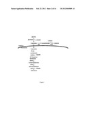 Engineered Microorganisms for the Production of One or More Target     Compounds diagram and image