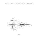 Engineered Microorganisms for the Production of One or More Target     Compounds diagram and image