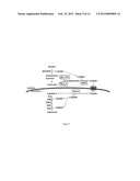 Engineered Microorganisms for the Production of One or More Target     Compounds diagram and image