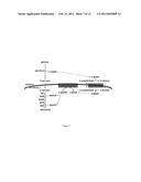 Engineered Microorganisms for the Production of One or More Target     Compounds diagram and image