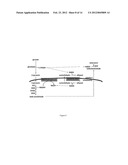 Engineered Microorganisms for the Production of One or More Target     Compounds diagram and image