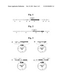 GENE ENCODING A PROTEIN HAVING AN ABILITY TO ENHANCE A SELENATE REDUCTION     ACTIVITY diagram and image