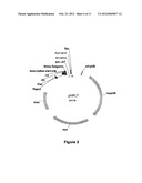 Compositions And Methods Comprising Alpha-Amylase Variants With Altered     Properties diagram and image