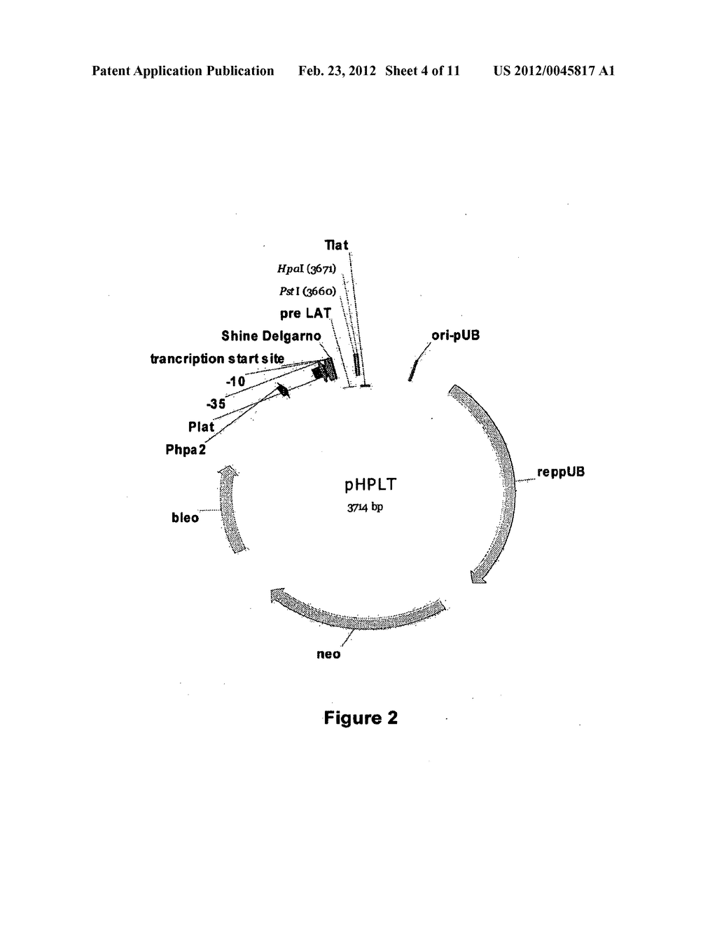 Compositions And Methods Comprising Alpha-Amylase Variants With Altered     Properties - diagram, schematic, and image 05