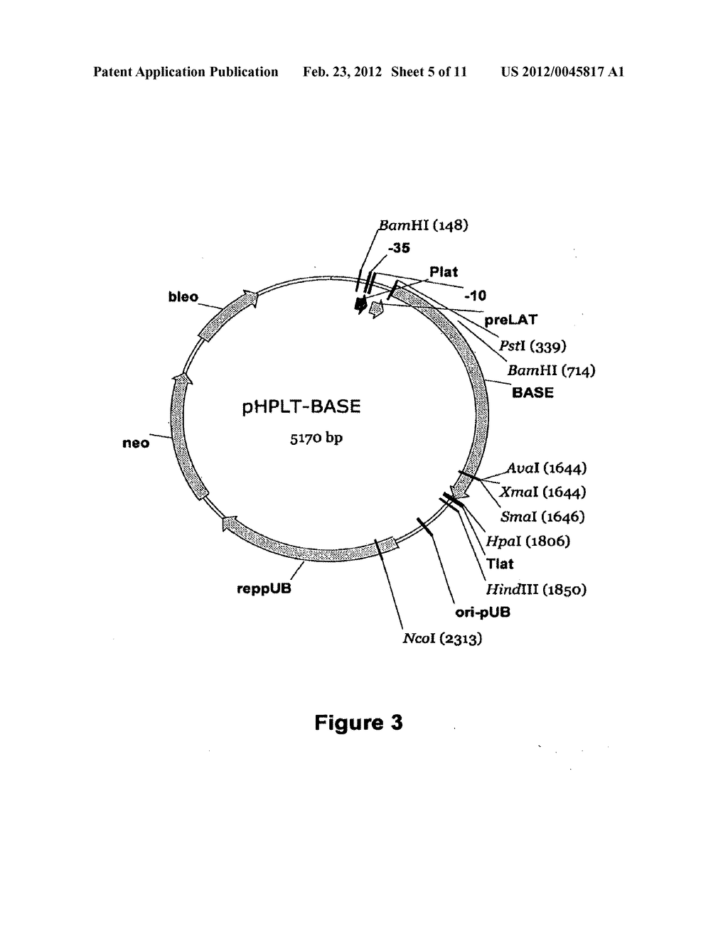 Compositions And Methods Comprising Alpha-Amylase Variants With Altered     Properties - diagram, schematic, and image 06