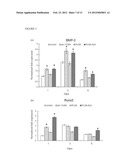 POLY(LACTIC-GLYCOLIC)ACID CROSS LINKED ALENDRONATE (PLGA-ALN) A SHORT TERM     CONTROLLED RELEASE SYSTEM FOR STEM CELL DIFFERENTIATION AND DRUG DELIVERY diagram and image