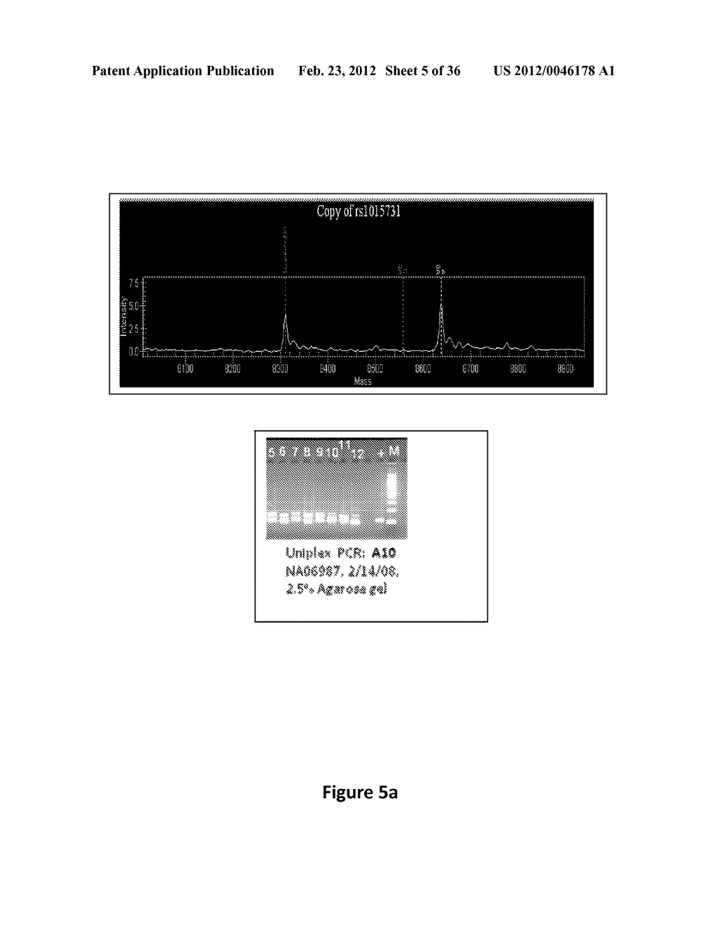 PRODUCTS AND PROCESSES FOR MULTIPLEX NUCLEIC ACID IDENTIFICATION - diagram, schematic, and image 06