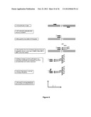 PRODUCTS AND PROCESSES FOR MULTIPLEX NUCLEIC ACID IDENTIFICATION diagram and image