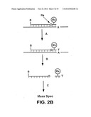 Releasable nonvolatile mass-label molecules diagram and image