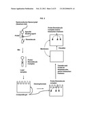 AUTOMATED DETECTION AND COUNTING OF BIOMOLECULES USING NANOPARTICLE PROBES diagram and image