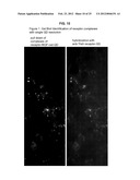 AUTOMATED DETECTION AND COUNTING OF BIOMOLECULES USING NANOPARTICLE PROBES diagram and image