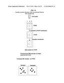 AUTOMATED DETECTION AND COUNTING OF BIOMOLECULES USING NANOPARTICLE PROBES diagram and image